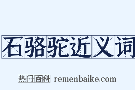 石骆驼近义词是什么意思的图片